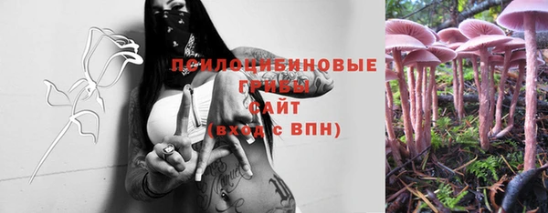 дмт Протвино