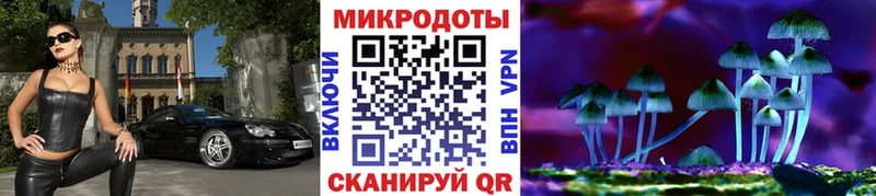 как найти   Выборг  Псилоцибиновые грибы MAGIC MUSHROOMS 